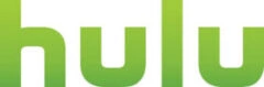 Hulu Logo e1714728023192 1