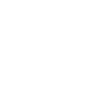 Fraud detection