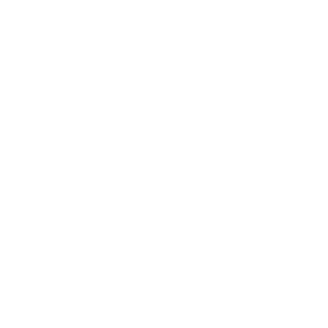 Password