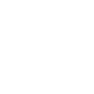 Quantum Computers