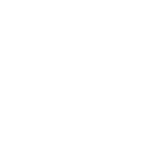 Secure Payment
