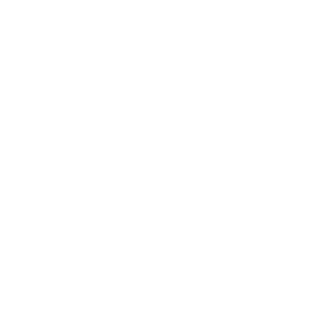 Security Shield