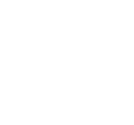 Team e1779688838106