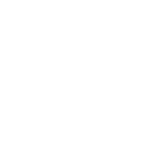 Voice assistant