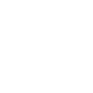 AI@2x 5