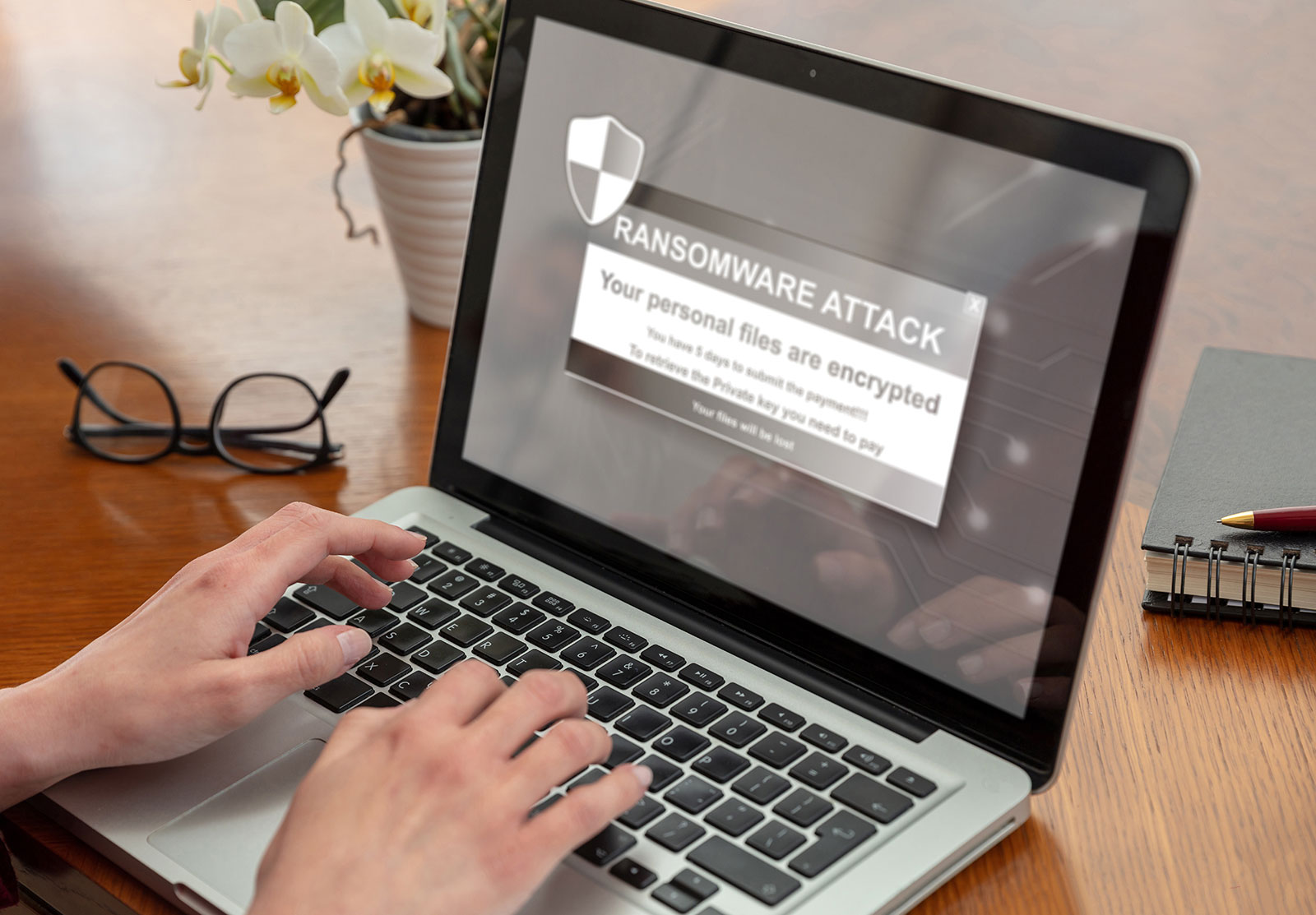 Cyber awareness and behavioural risk programmes