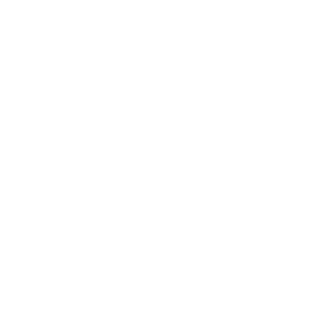 Third part icon