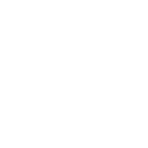 cost icon