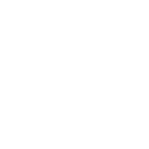 SSL HTTPS@2x 2