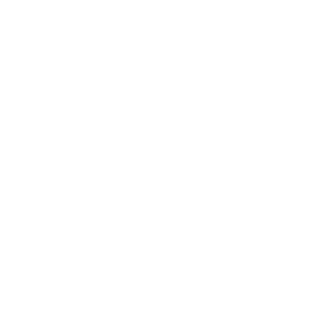cost icon