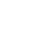 brain icon