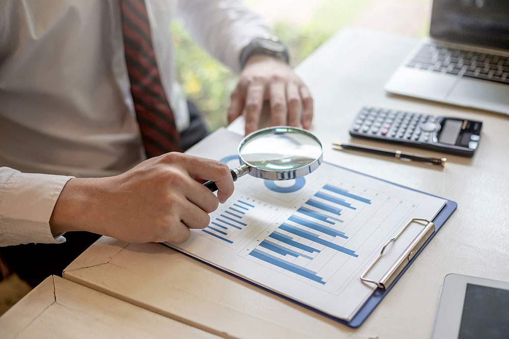 Data Analysis & Financial Review