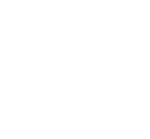 LinkedIn Bug White